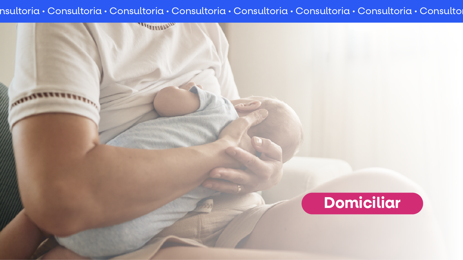 Amamenta��o Master - domiciliar