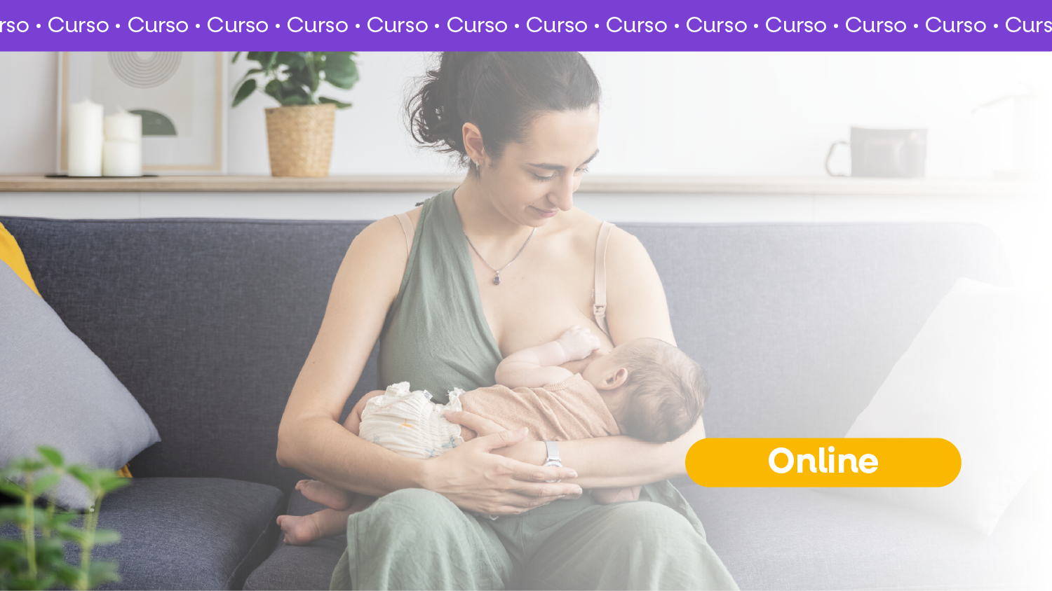 Curso de Amamenta��o - online
